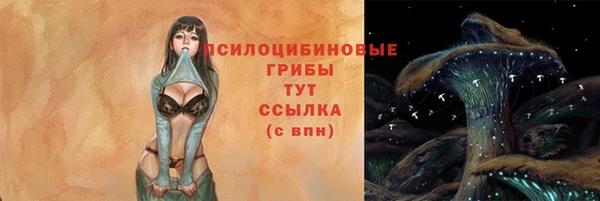 спиды Карталы