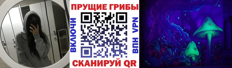 Псилоцибиновые грибы Psilocybe  дарк нет формула  mega ссылки  Сунжа  наркота 