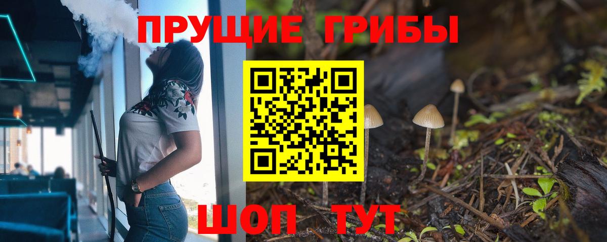 Сунжа  Псилоцибиновые грибы GOLDEN TEACHER  Галлюциногенные грибы MAGIC MUSHROOMS  наркошоп  Вход с VPN 