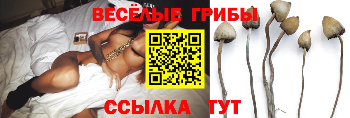 Галлюциногенные грибы мухоморы Сунжа